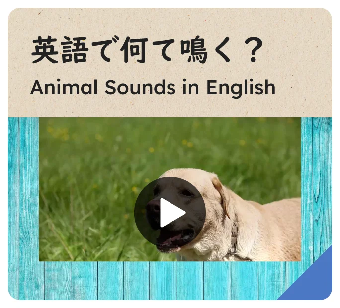 英語で何て鳴く？