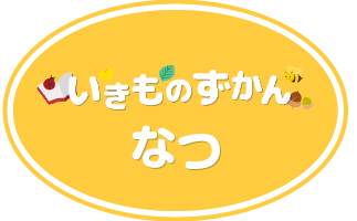 いきものずかん夏