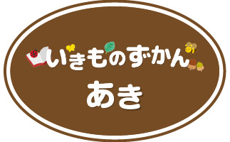 いきものずかん秋