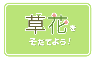 草花を育てよう