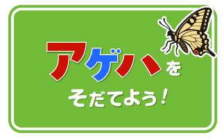 アゲハを育てよう