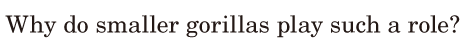 Why do smaller gorillas play / such a <span class='nw'>role</span>? / 