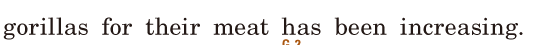 gorillas / for their meat / has been <span class='nw'>increasing</span>. / 