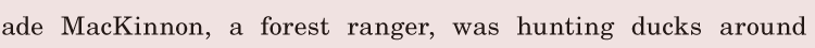<span class='nw land_readingTitle'>W</span> <span class='nw'>ade</span>  <span class='nw'>MacKinnon</span>, / a forest <span class='nw'>ranger</span>, / was hunting <span class='nw'>ducks</span> / around 