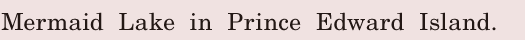 Mermaid Lake / in <span class='nw'>Prince</span>  <span class='nw'>Edward</span> Island. / 