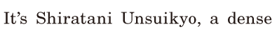 It’s Shiratani Unsuikyo, / a <span class='nw'>dense</span>  