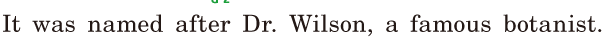 It was named after [Dr.] Wilson, / a famous <span class='nw'>botanist</span>. / 