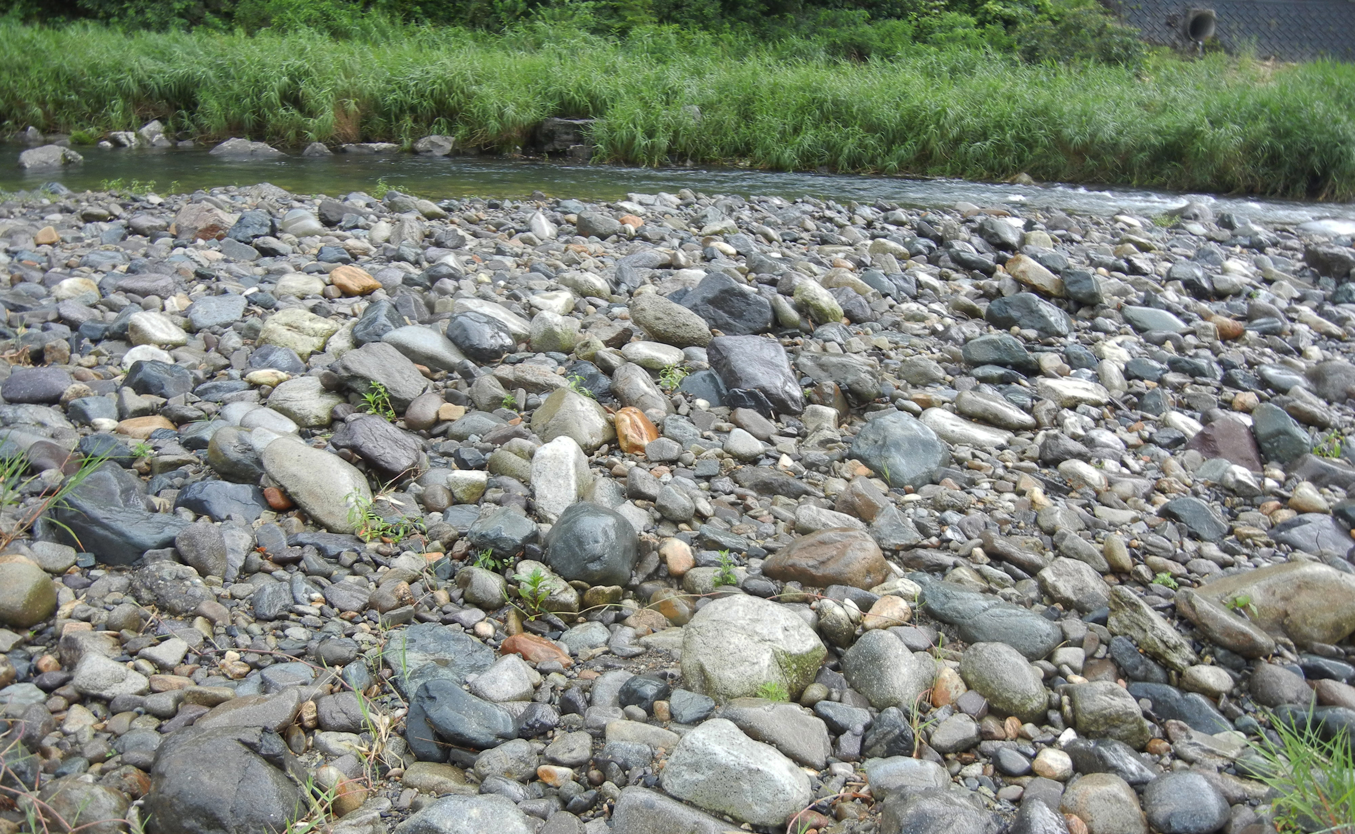 石が同じ向きにならんでいる川原のようす 兵庫県神河町