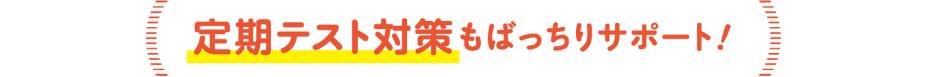 定期テスト対策もばっちりサポート！