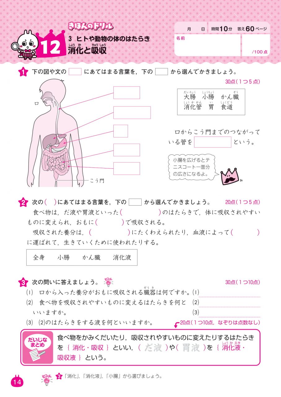 6年の理科 新興出版社