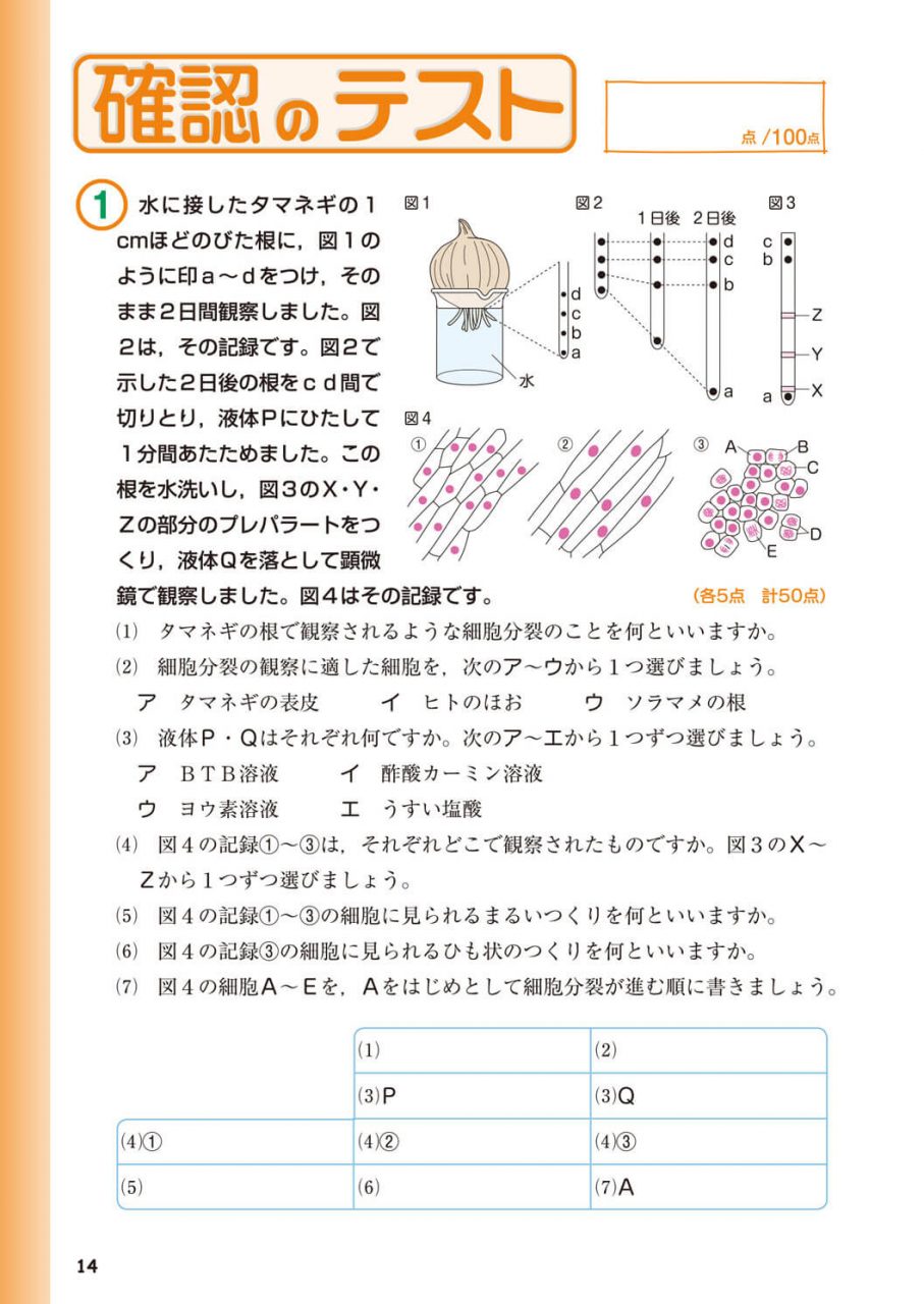 中学生向け商品 新興出版社