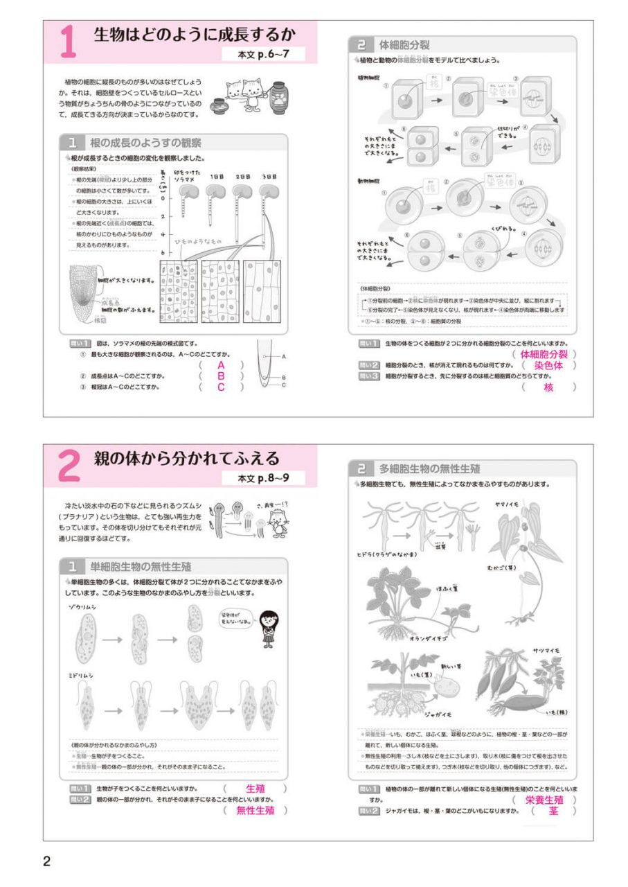 中学生向け商品 新興出版社