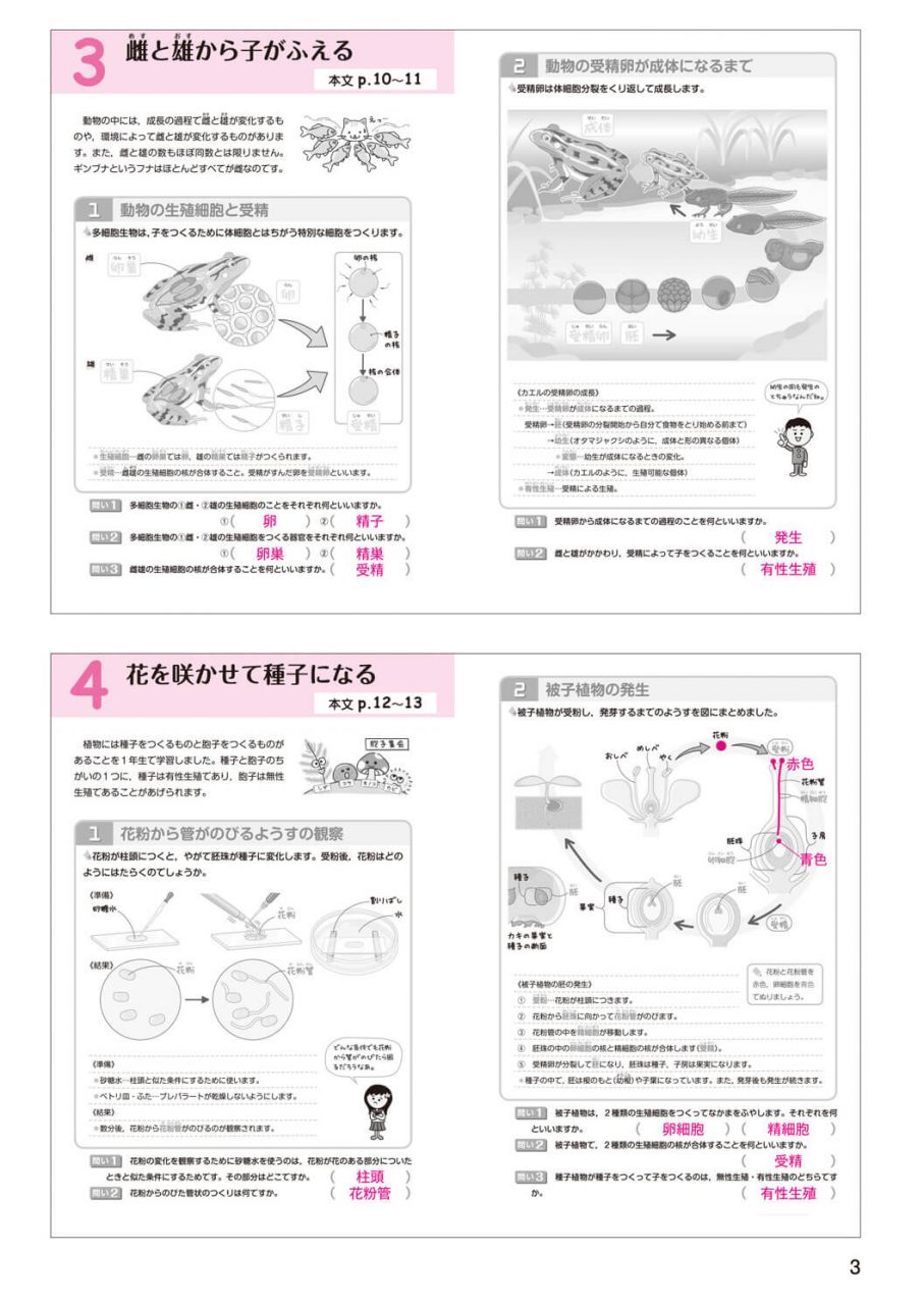 中学生向け商品 新興出版社